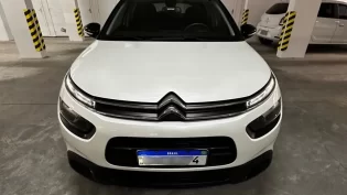 C4 Cactus